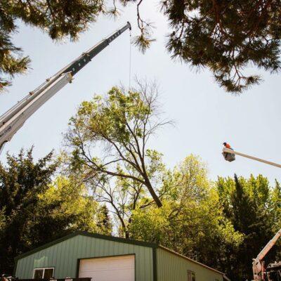 Crane used to remove large damaged tree at a home in Boise, Idaho