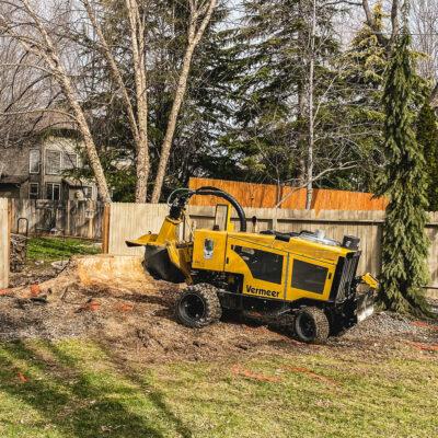 Stump removal in Boise, Idaho