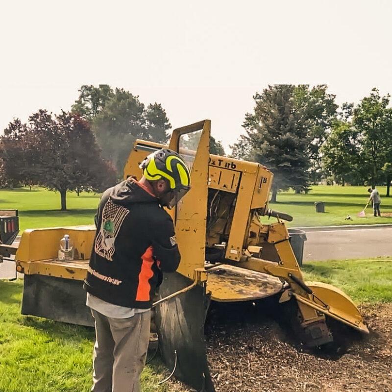 Stump Removal of large stumps in public park in Boise, Idaho